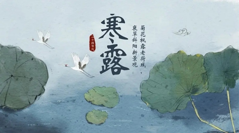 澳门红姐论坛